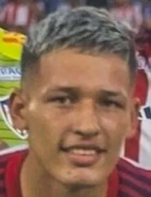 Carlos Eduardo Cantillo Villalobos