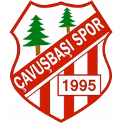 Cavusbasi SK герб