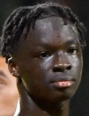 Cheick Mohamed Doumbia
