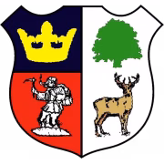 Cinderford Town FC герб