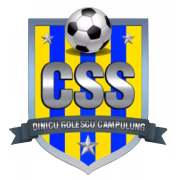 CN Dinicu Golescu Campulung герб