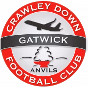 Crawley Down Gatwick FC герб