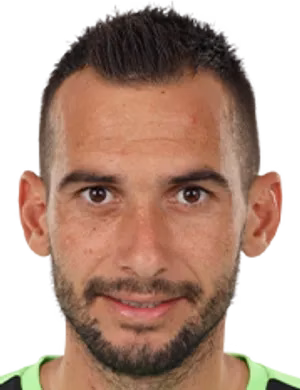 Cristian Nedelcovici