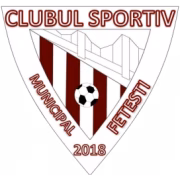 CSM Fetesti герб