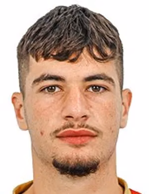 Dalil Ali