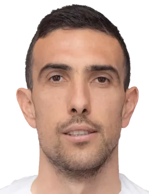 Damir Zlomislić