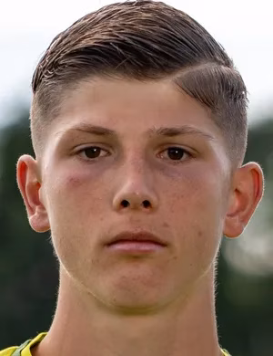 Darijo Ebert