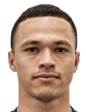 Darlan Pereira Mendes