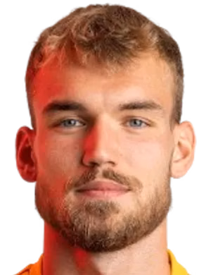 David Ludvíček
