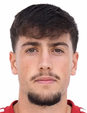 António David Ribeiro Nunes