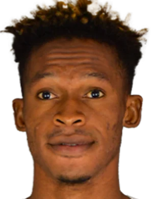 David Okoromi
