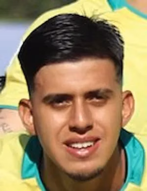 David Villa Mazo