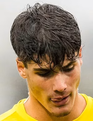 Davide Renzetti