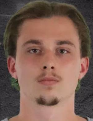 Denis Ade