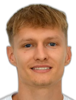 Denis Gojko