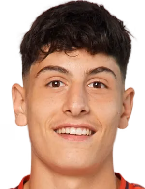 Deniz Emre Ofli
