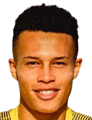 Diego Henrique Souza da Silva