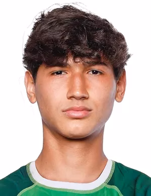 Diego Andrés Ochoa Solís