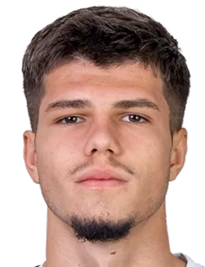 Dino Delić
