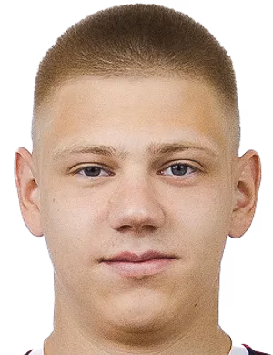 Шерстобитов Дмитрий Андреевич