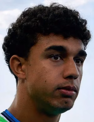 Dominic Vavassori