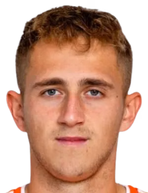 Dominik Kříž