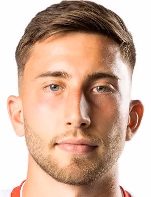 Dominik Meisel