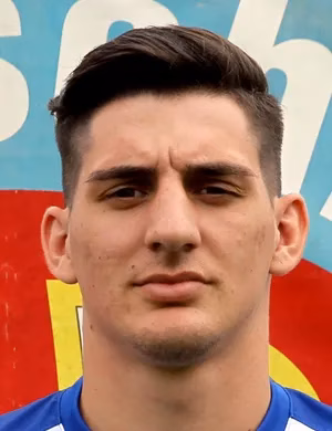 Dominik Ortega Tapia