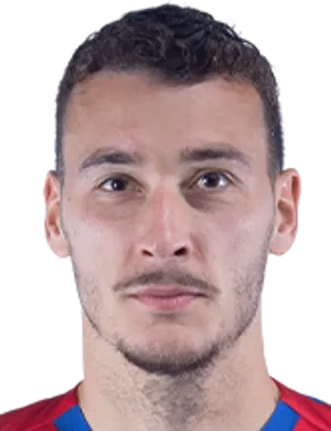 Dominik Wydra