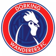Dorking Wanderers B герб