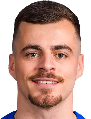 Драгољуб Савић
