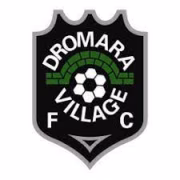 Dromara Village FC герб
