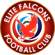 Elite Falcons FC герб