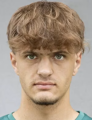 Emil Safer