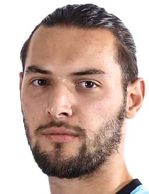 Mehmet Enes Sarı