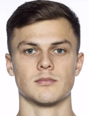 Erik Karl Hugo Ring