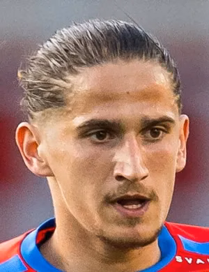 Ervin Gigović