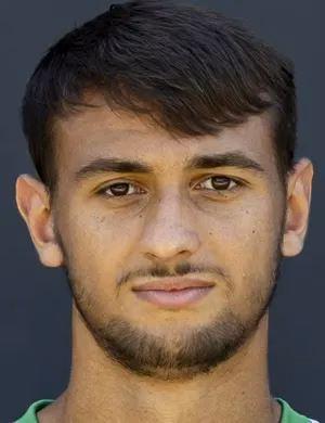 Fabio Cristian Chiarodia