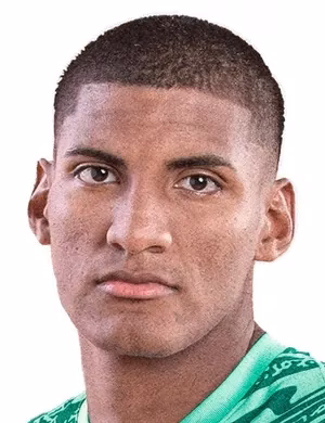 Fabrisio André Mesías Silva