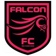 Falcon FC герб