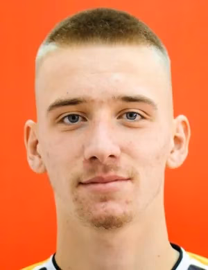 Faris Ribić