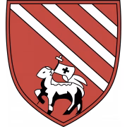 FC Droylsden герб