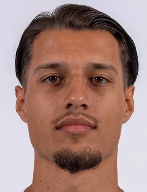 Felipe Miguel Freitas Borges