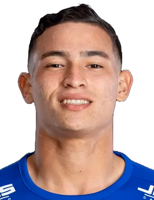 Fernando Andres Díaz Palencia