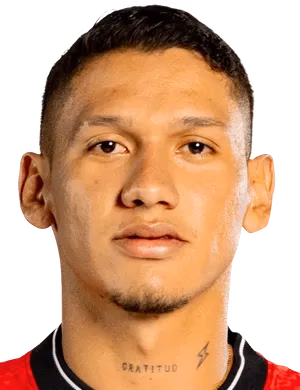 Fernando José Piñar Piñar