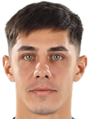 Florin Borța