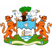 Freetown City FC герб