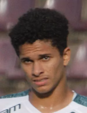 Gabriel Silva Vieira