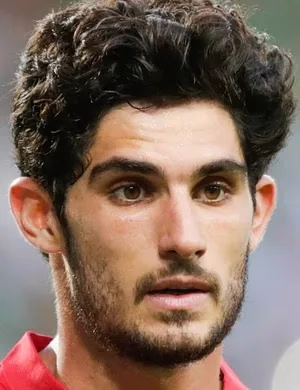 Gonçalo Manuel Ganchinho Guedes