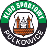 Gornik Polkowice U19 герб